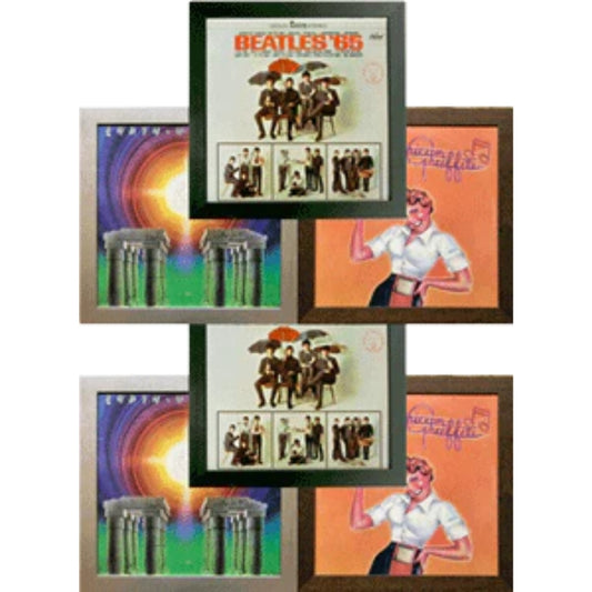 6 pack vinyl record album frame