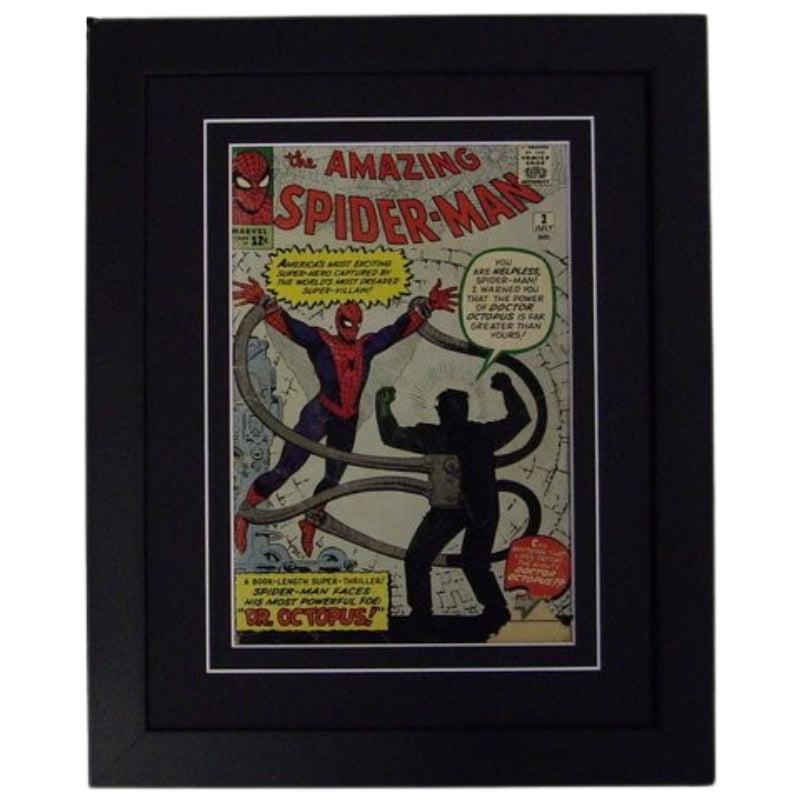 comic book frame black-white mat black frame