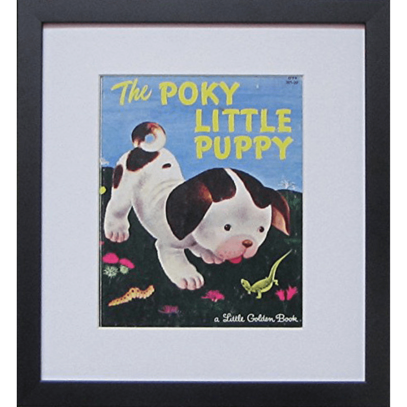 Little Golden Book Frame with Mat white mat