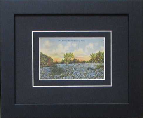 Single Postcard Frame black-white mat black frame