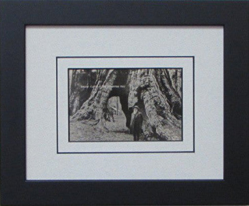 Single Postcard Frame white-black mat black frame