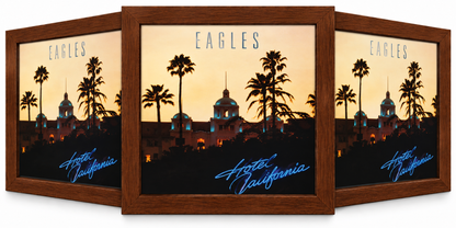 3-Pack Vinyl Record Album Frames For The Wall