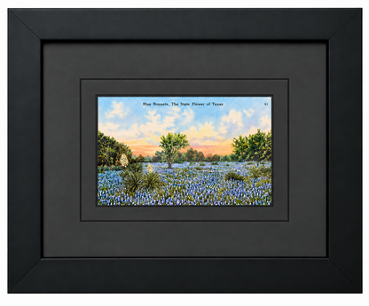 Single Postcard Frame