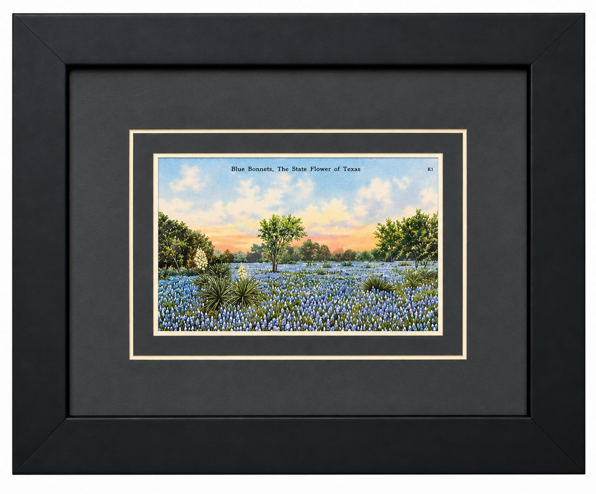 Single Postcard Frame