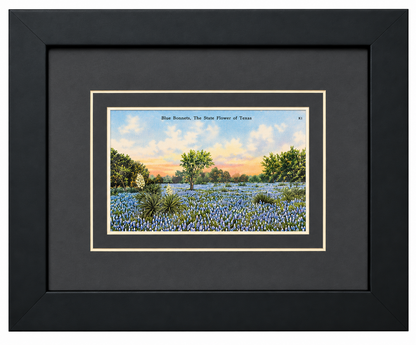 Single Postcard Frame
