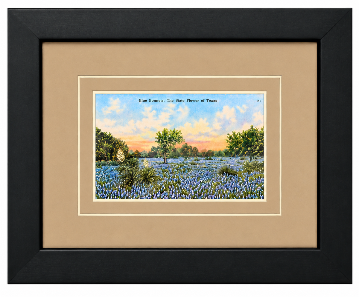 Single Postcard Frame