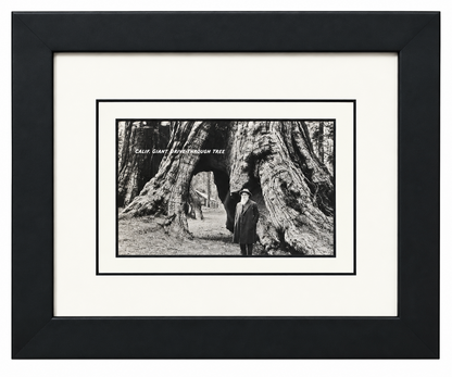 Single Postcard Frame