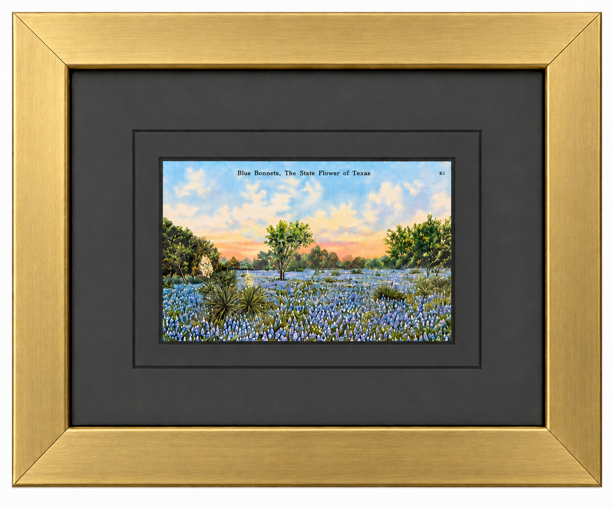 Single Postcard Frame