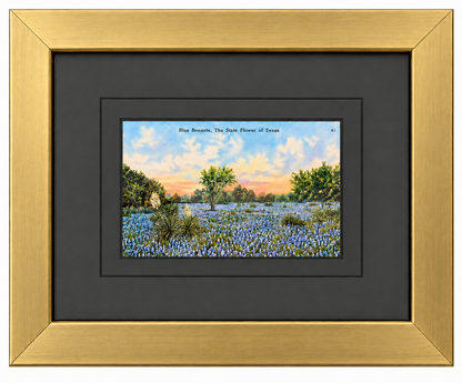 Single Postcard Frame