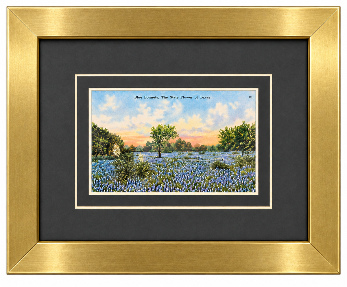 Single Postcard Frame