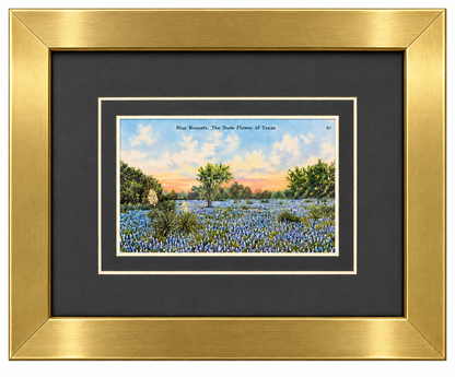 Single Postcard Frame