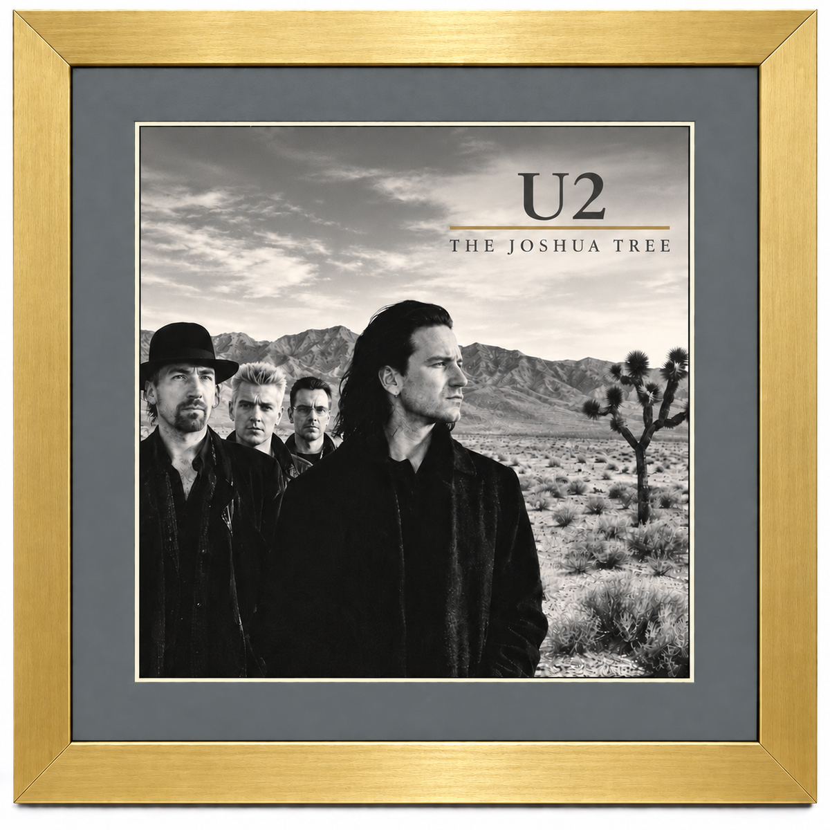 12" LP Record Album Frame for Sleeve with Mat (NO TRIM)