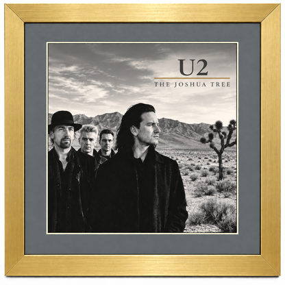 12" LP Record Album Frame for Sleeve with Mat (NO TRIM)