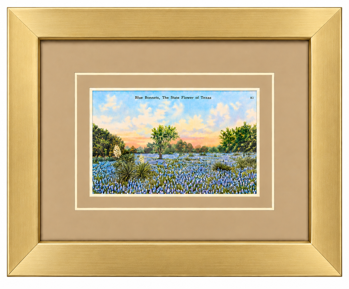Single Postcard Frame