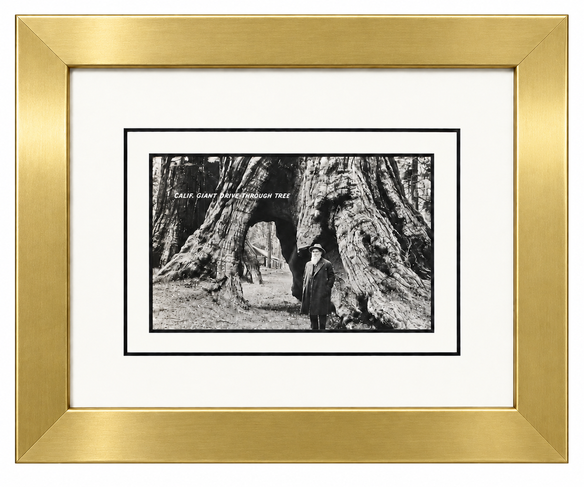 Single Postcard Frame
