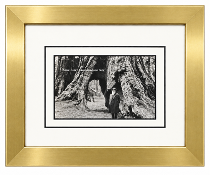 Single Postcard Frame