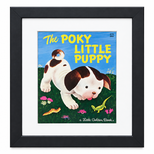 Little Golden Book Frame with Mat