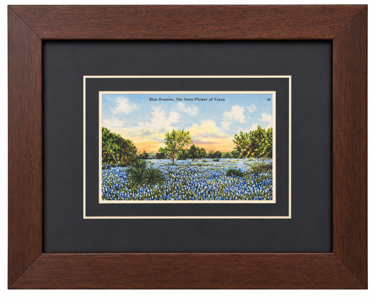 Single Postcard Frame