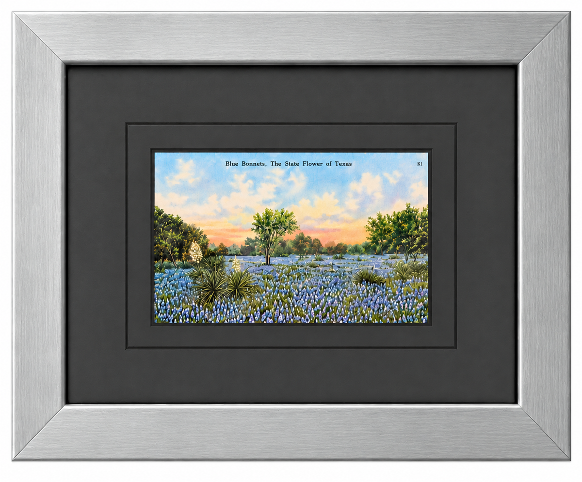 Single Postcard Frame