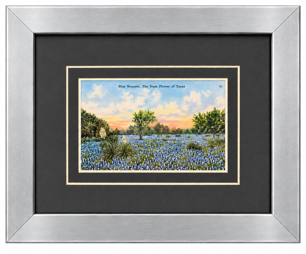 Single Postcard Frame