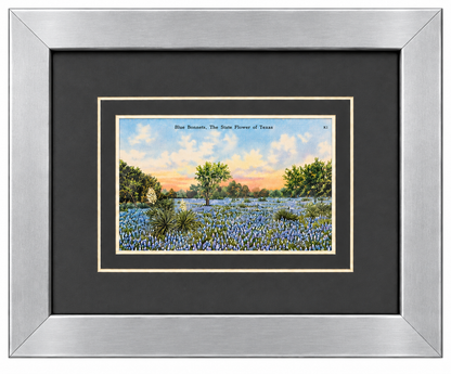 Single Postcard Frame