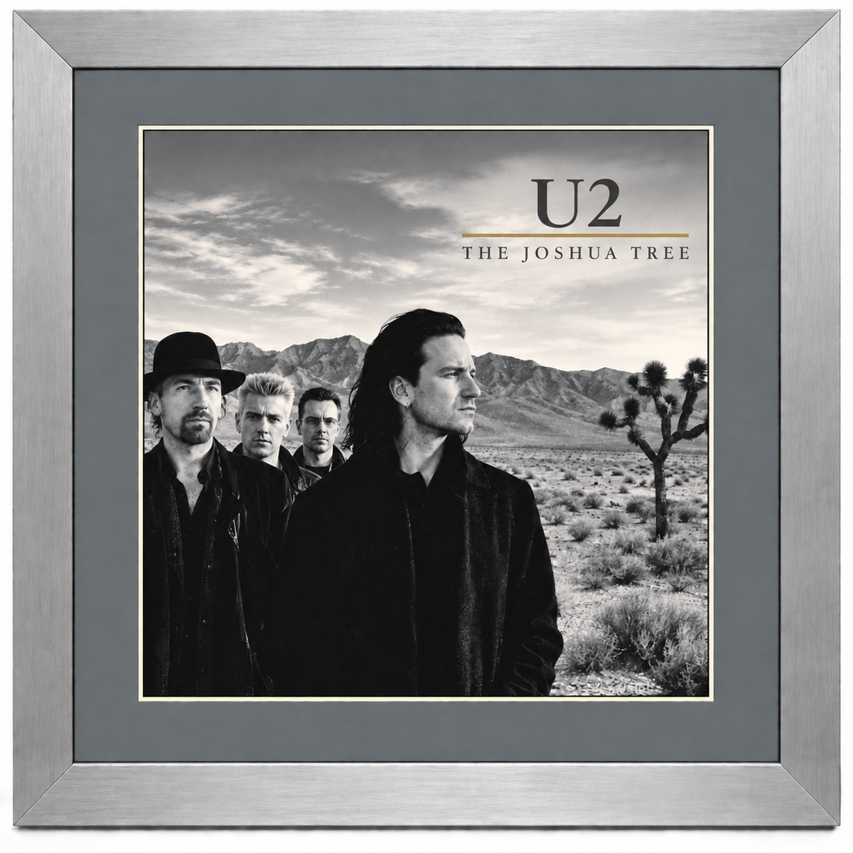 12" LP Record Album Frame for Sleeve with Mat (NO TRIM)