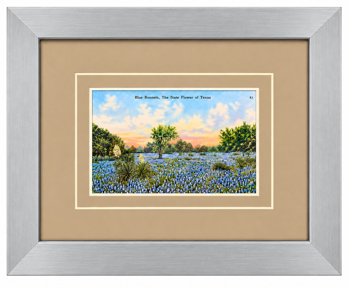 Single Postcard Frame