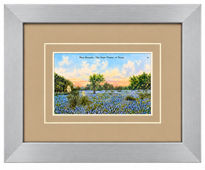 Single Postcard Frame