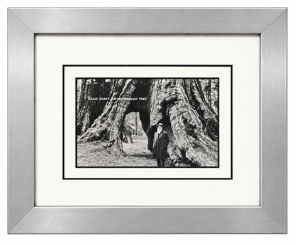 Single Postcard Frame