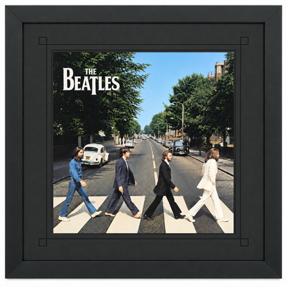 12" LP Record Album Frame for Sleeve with Mat