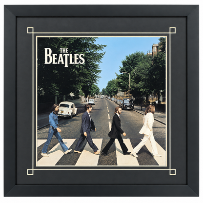 12" LP Record Album Frame for Sleeve with Mat