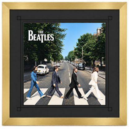 12" LP Record Album Frame for Sleeve with Mat