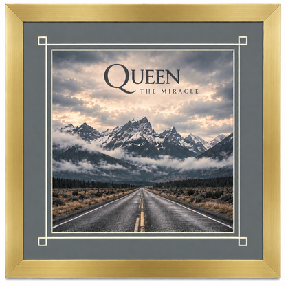 12" LP Record Album Frame for Sleeve with Mat