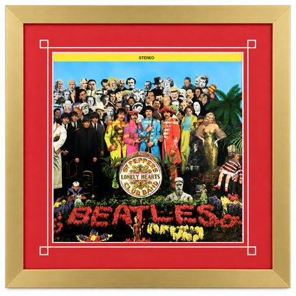 12" LP Record Album Frame for Sleeve with Mat