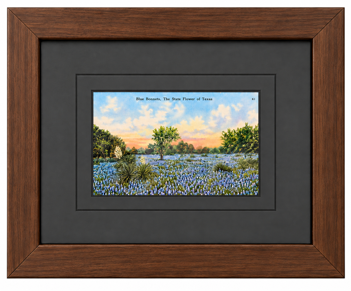 Single Postcard Frame