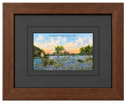 Single Postcard Frame