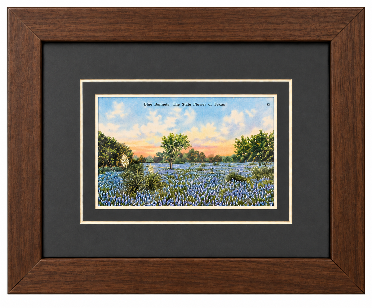 Single Postcard Frame