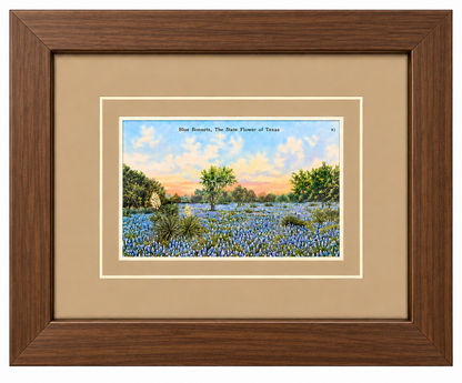 Single Postcard Frame
