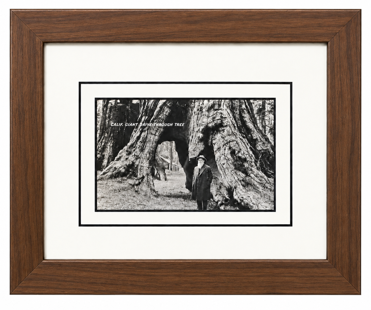 Single Postcard Frame