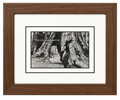 Single Postcard Frame