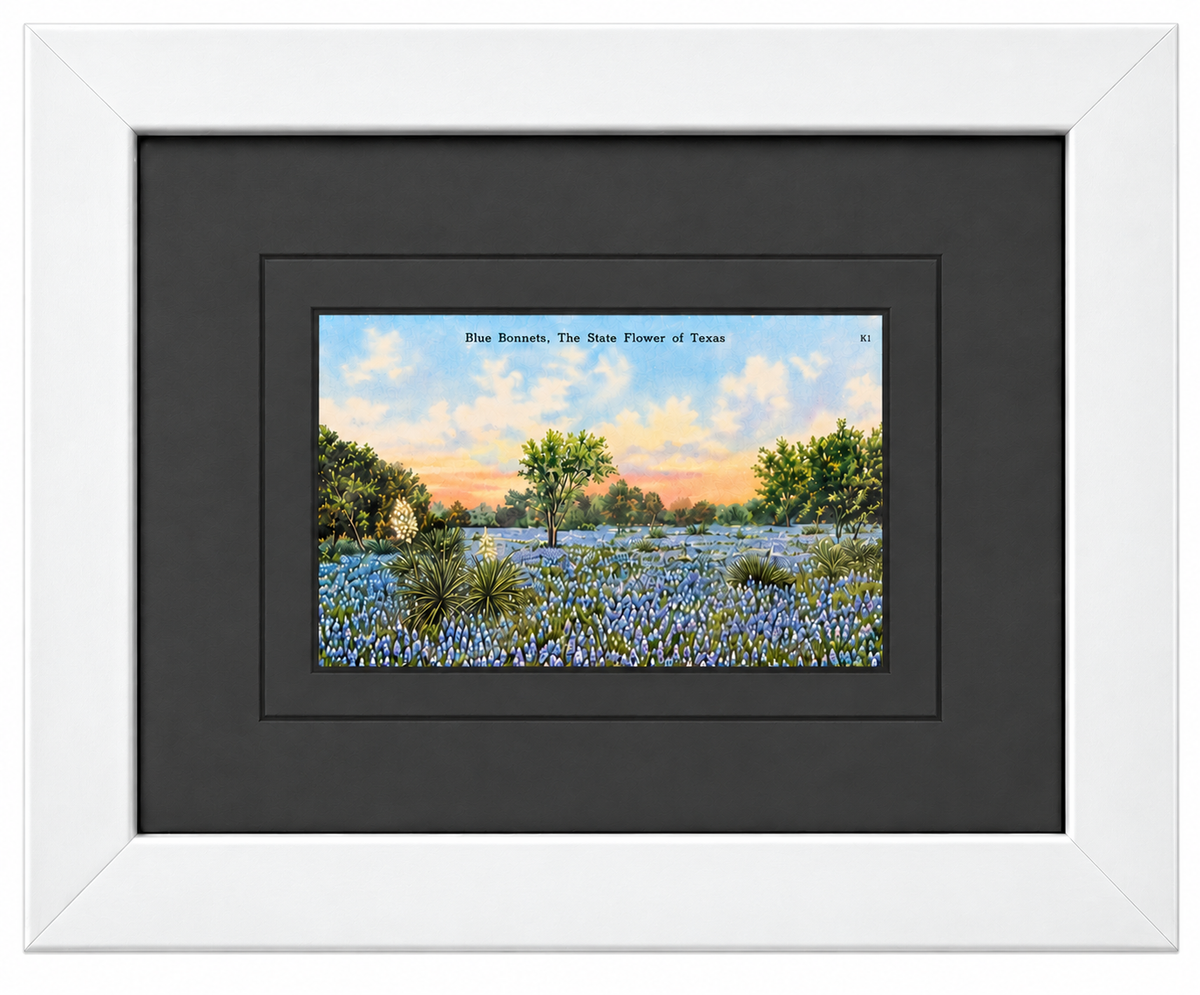 Single Postcard Frame