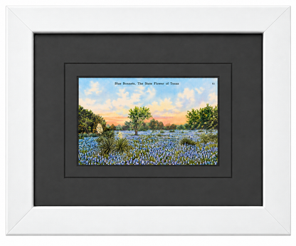 Single Postcard Frame