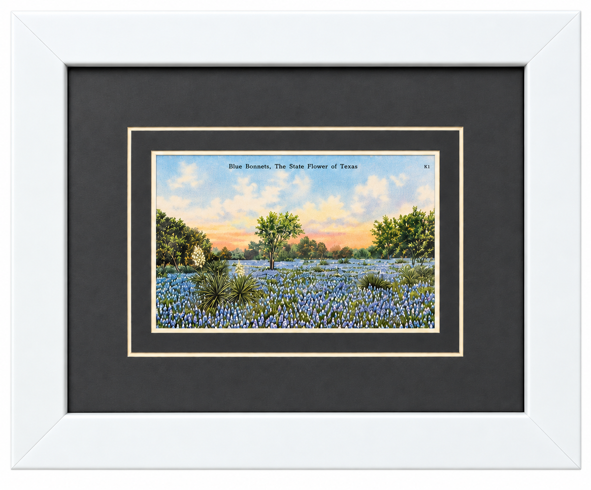 Single Postcard Frame