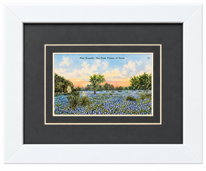 Single Postcard Frame