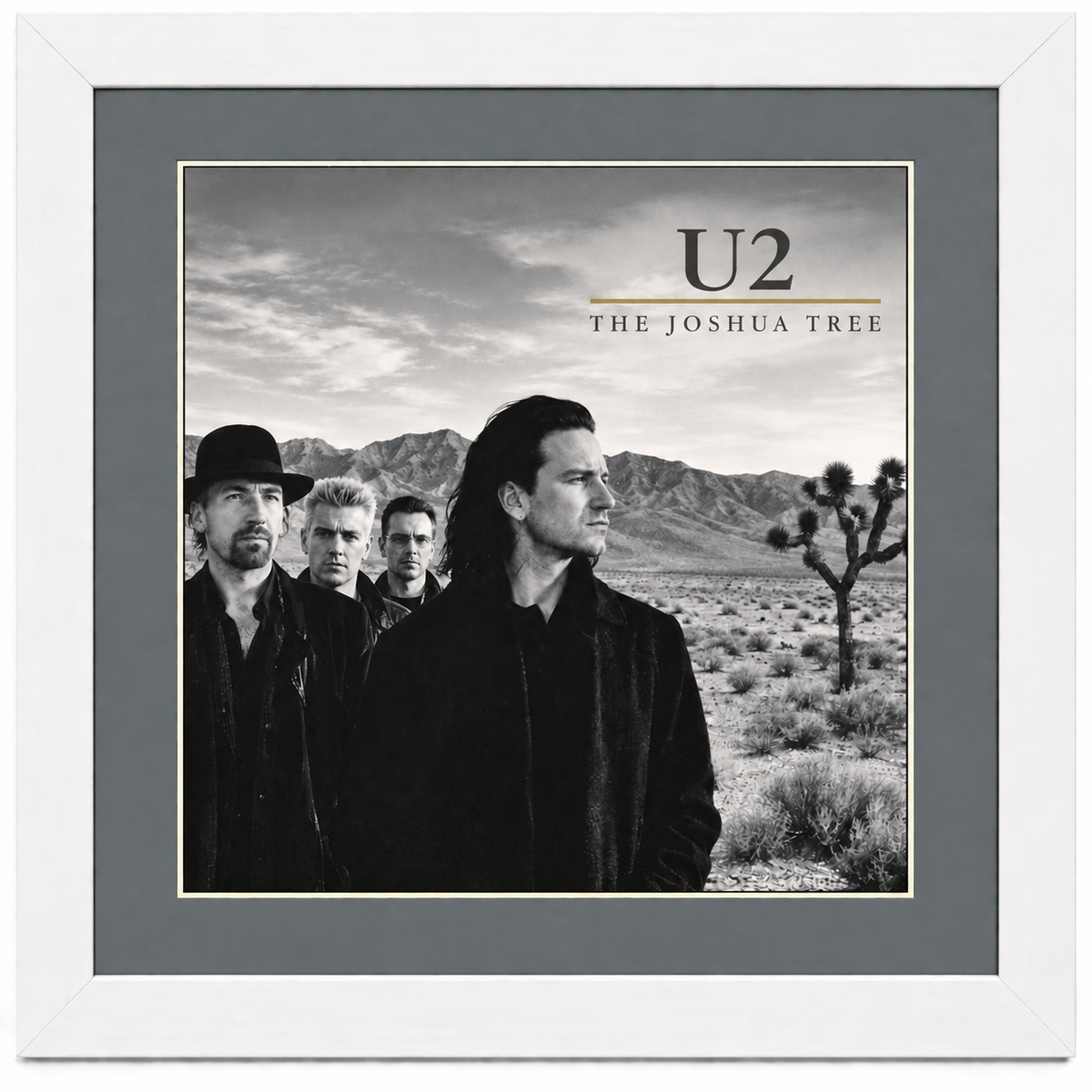 12" LP Record Album Frame for Sleeve with Mat (NO TRIM)