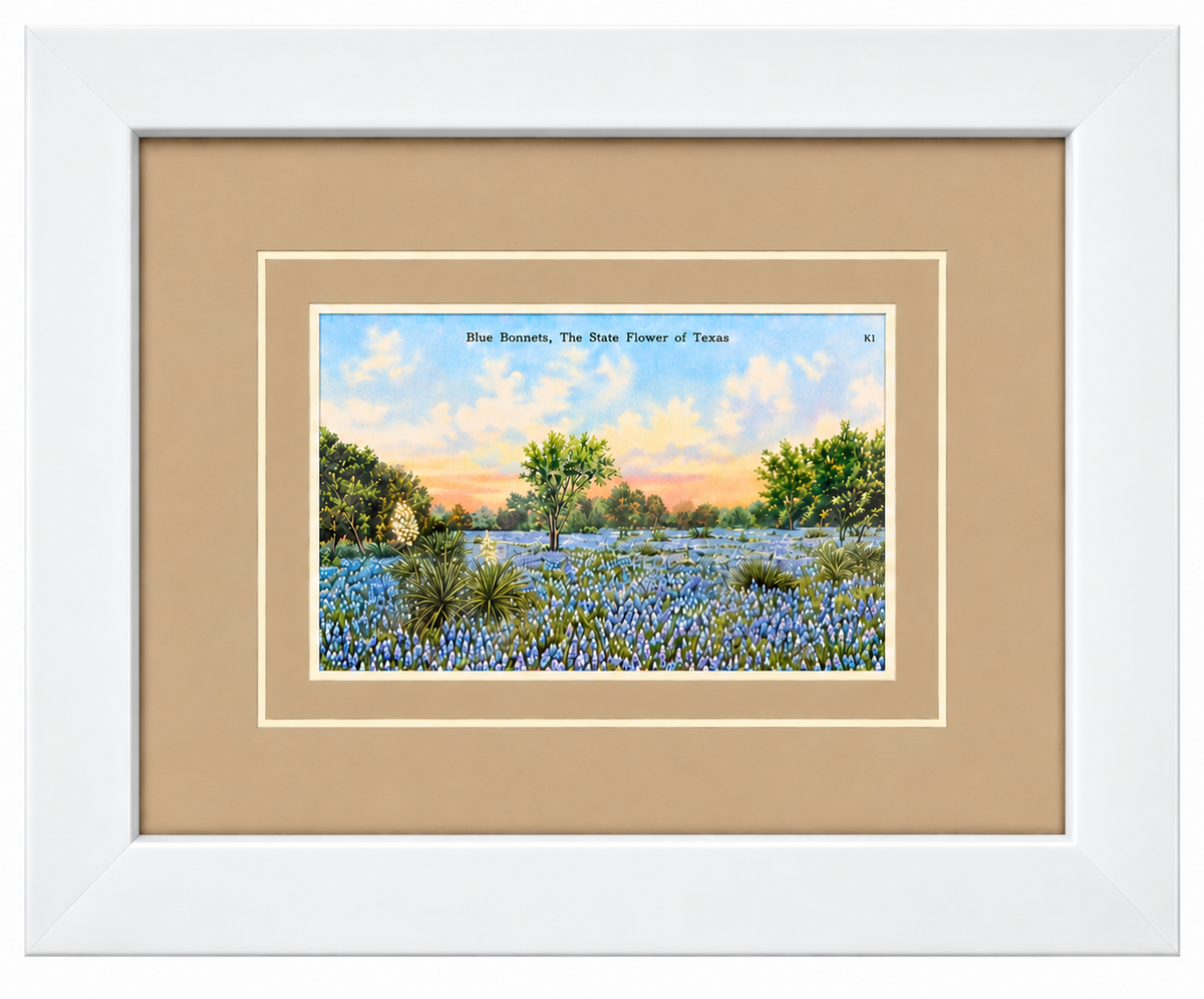 Single Postcard Frame