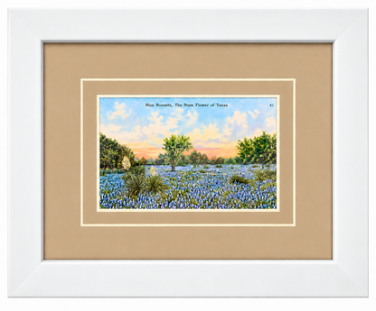 Single Postcard Frame