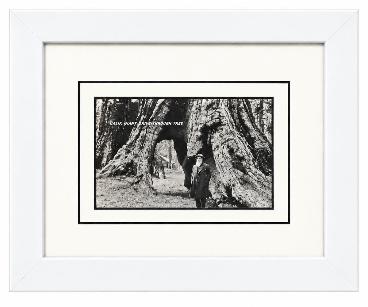 Single Postcard Frame
