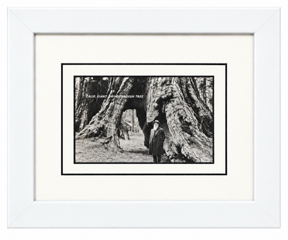 Single Postcard Frame
