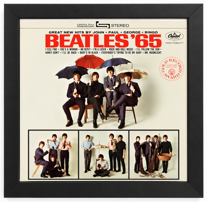 12" LP Record Album Frame for Sleeve